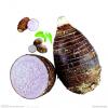 Flavor :  Taro by Hangsen
