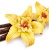Flavor :  Vanilla by Hangsen