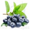 Flavor :  Blueberry Menthol by Heartlandvapes