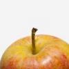 Flavor :  Apfel Coxorange by Herrlan