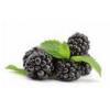 Flavor :  Brombeer by Herrlan