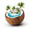 Flavor :  Cocos Dream by Herrlan