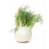 Flavor :  Fenchel by Herrlan