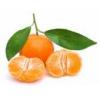 Flavor :  Mandarine by Herrlan