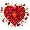 Flavor :  Rote Fruchte by Herrlan