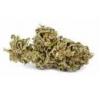 Flavor :  Super Skunk Nl by Herrlan