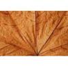 Flavor :  Tabak Chief Leaf by Herrlan