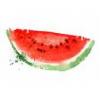 Flavor :  Tasty Melon by Herrlan