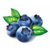 Flavor :  Waldfrucht Blau by Herrlan