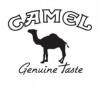 Flavor : camel by HiLIQ Flavor : camel by HiLIQ