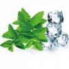 Flavor :  Menthol by HiLIQ