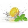 Flavor :  Menthol Lemon by HiLIQ