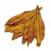 Flavor :  Newport by HiLIQ