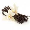 Flavor :  Vanilla by HiLIQ