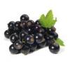 Flavor :  Schwarze Johannisbeere by Hochland Dampf