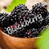 Flavor :  Blackberry par HOLY JUICE