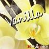Flavor :  Vanilla by Holy Juice