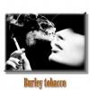 Flavor :  Burley Tobacco by Hsmok