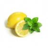 Flavor :  Lemon Menthol by Hsmok