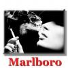 Flavor :  Marlboro by Hsmok