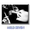 Flavor :  Mild Seven by Hsmok