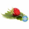 Flavor :  Fraise Des Bois by Hype Vap