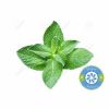 Flavor :  Menthe Poivree par HYPE VAP
