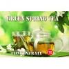 Flavor :  Concentrate Green Spring Tea by Inawera