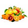 Flavor :  Agrumi Mix by Infinity