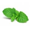 Flavor :  Menta by Infinity