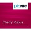 Flavor :  Cherry Rubus by JAC Vapour