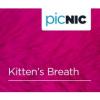 Flavor :  Kitten S Breath by JAC Vapour