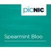 Flavor :  Spearmint Bloo by JAC Vapour
