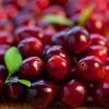 Flavor :  Canneberge by Johnny McCloud