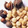 Flavor :  Noix De Macadame by Johnny McCloud