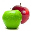 Flavor :  Pomme Duo by Johnny McCloud