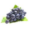 Flavor :  Raisin Sauvage by Johnny McCloud