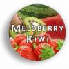 Flavor :  Meloberry Kiwi by Juice Cabin