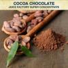 Flavor :  Cocoa Chocolate Sc by Juice Factory