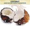 Flavor :  Coconut Sc by Juice Factory