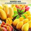 Flavor :  Gourmet Mango Mix Sc by Juice Factory