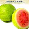 Flavor :  Gourmet Pineapple Guava Sc by Juice Factory