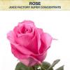 Flavor :  Rose Sc by Juice Factory