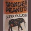 Flavor :  Wonder Peanuts by Jungle Juices