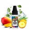 Flavor :  Green Tempest by Jungle Wave