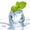 Flavor :  Mentol by Koila