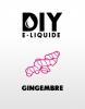 Flavor : gingembre by Laboratoire Francais Industriel Flavor : gingembre by Laboratoire Francais Industriel