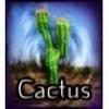 Flavor :  Cactus by Les Jus de Nicole