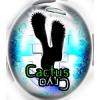 Flavor :  Cactus Cryo by Les Jus de Nicole