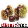 Flavor :  Chataigne par LIBERTY VAP